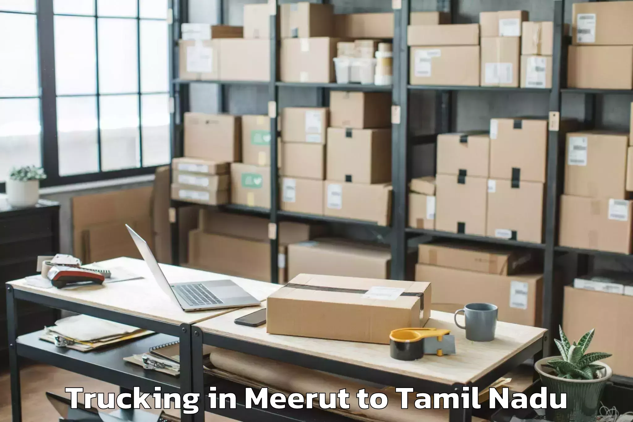 Book Meerut to Tenkasi Trucking